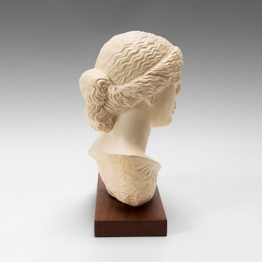 Buste Vénus tête d’Arles