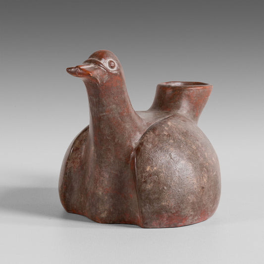 Canard Colima couvant ses oeufs