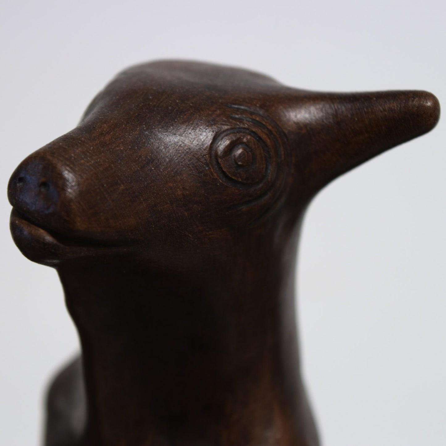 Petite tête de taureau