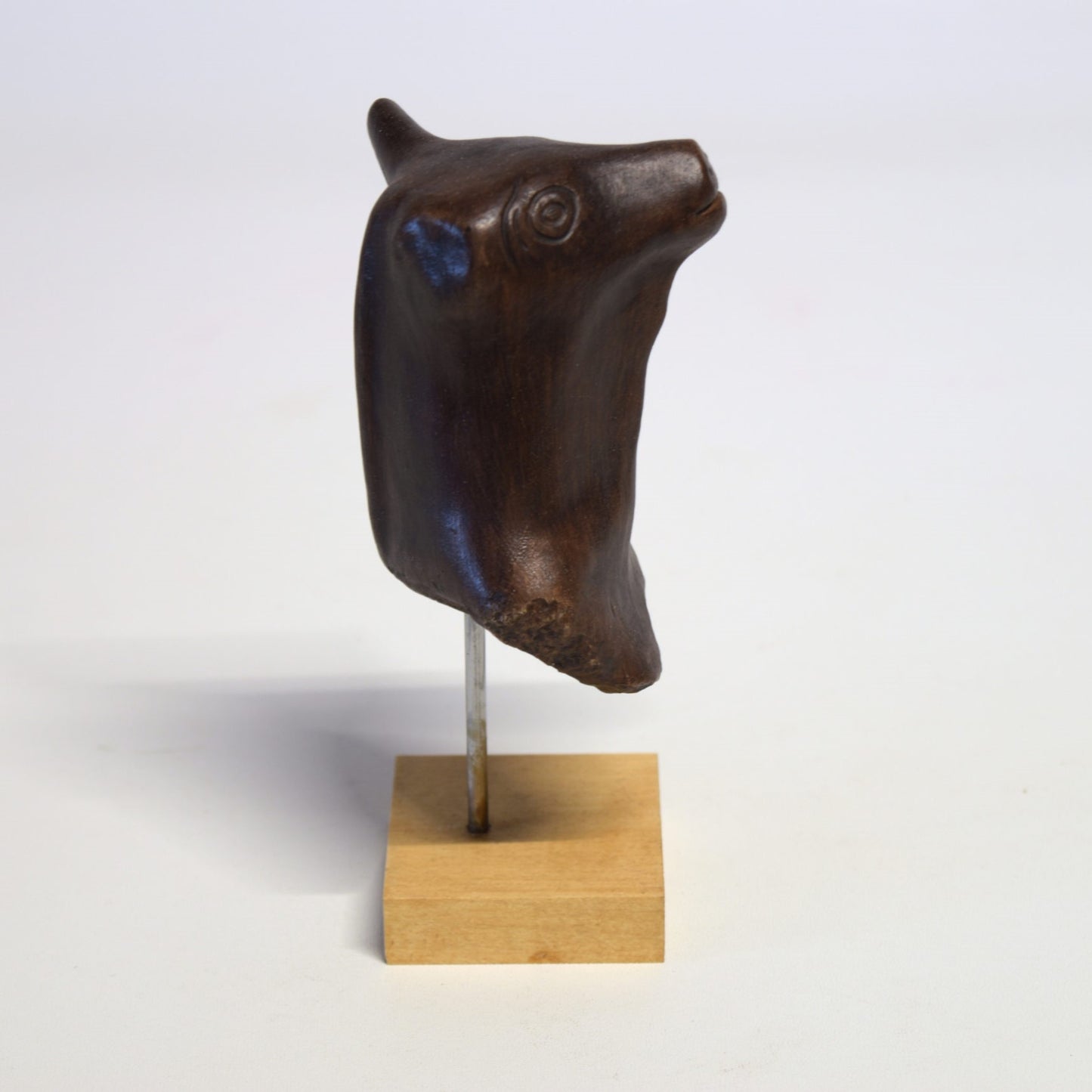 Petite tête de taureau