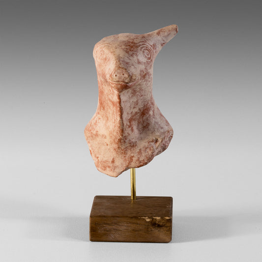 Petite tête de taureau