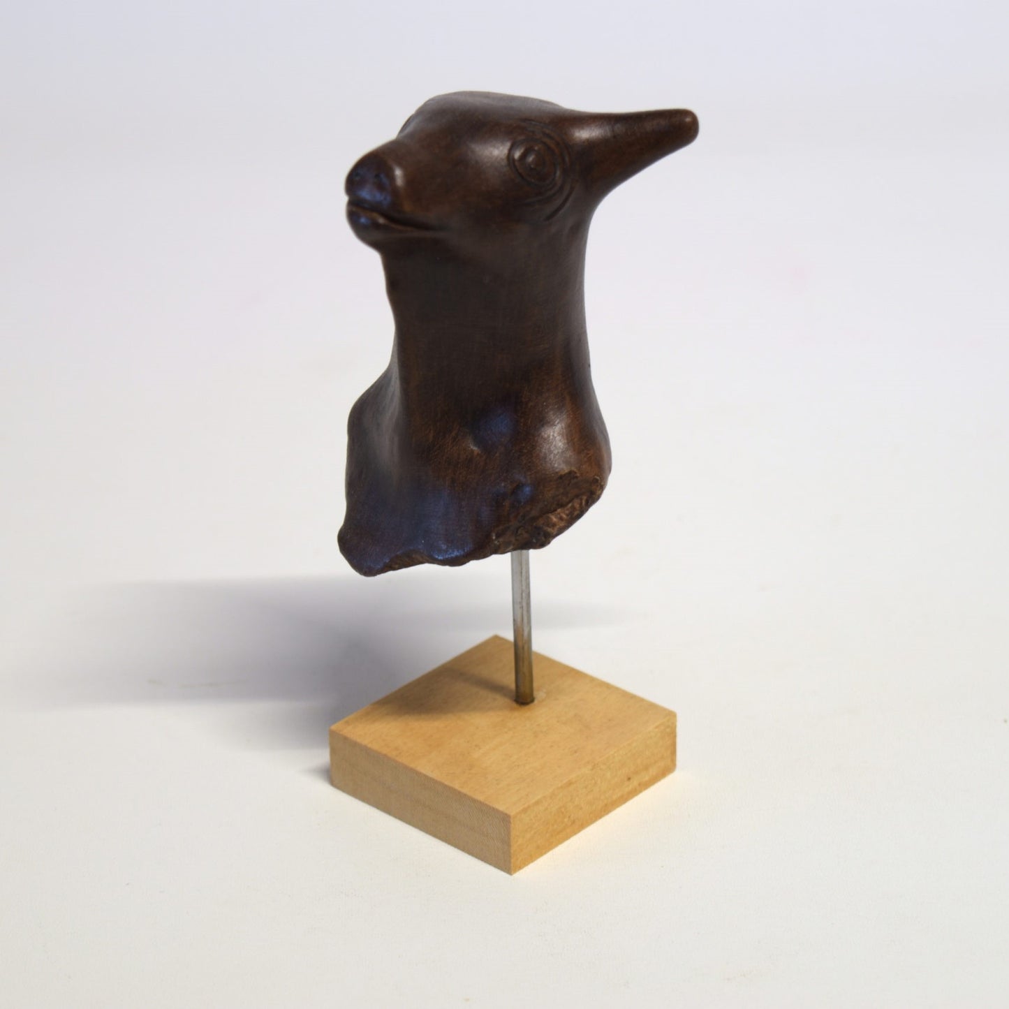 Petite tête de taureau