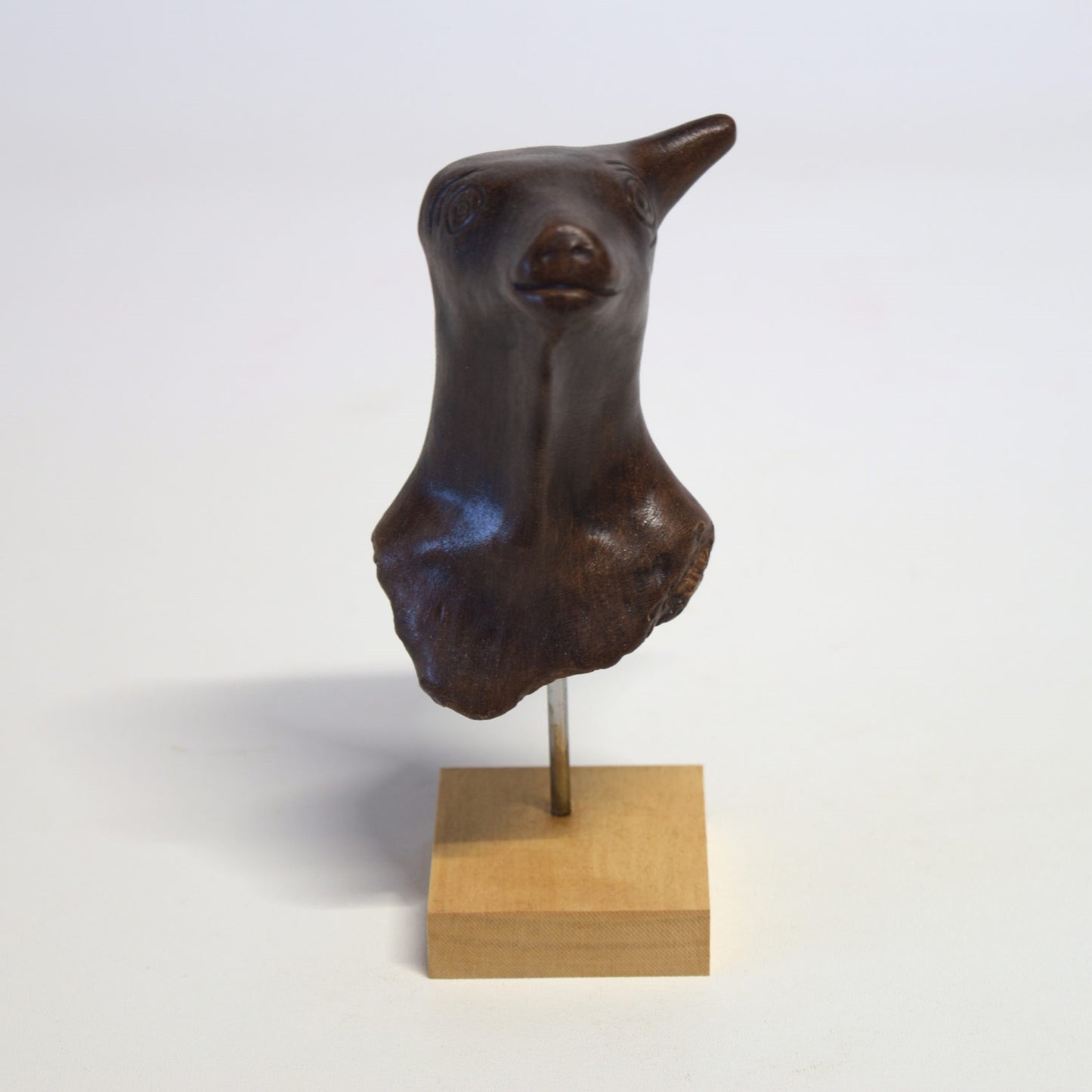 Petite tête de taureau