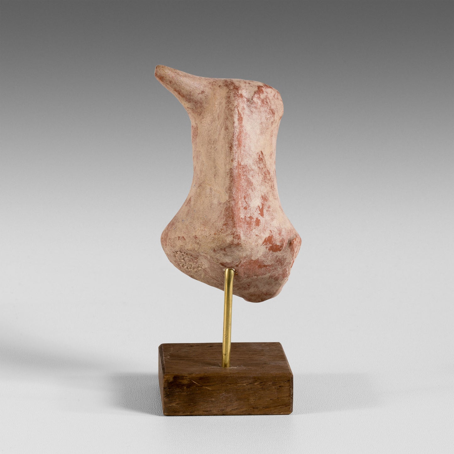 Petite tête de taureau