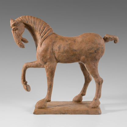 Cheval Han