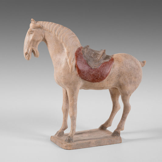 Petit cheval Tang