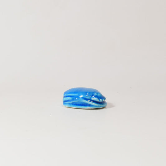 Petit scarabée