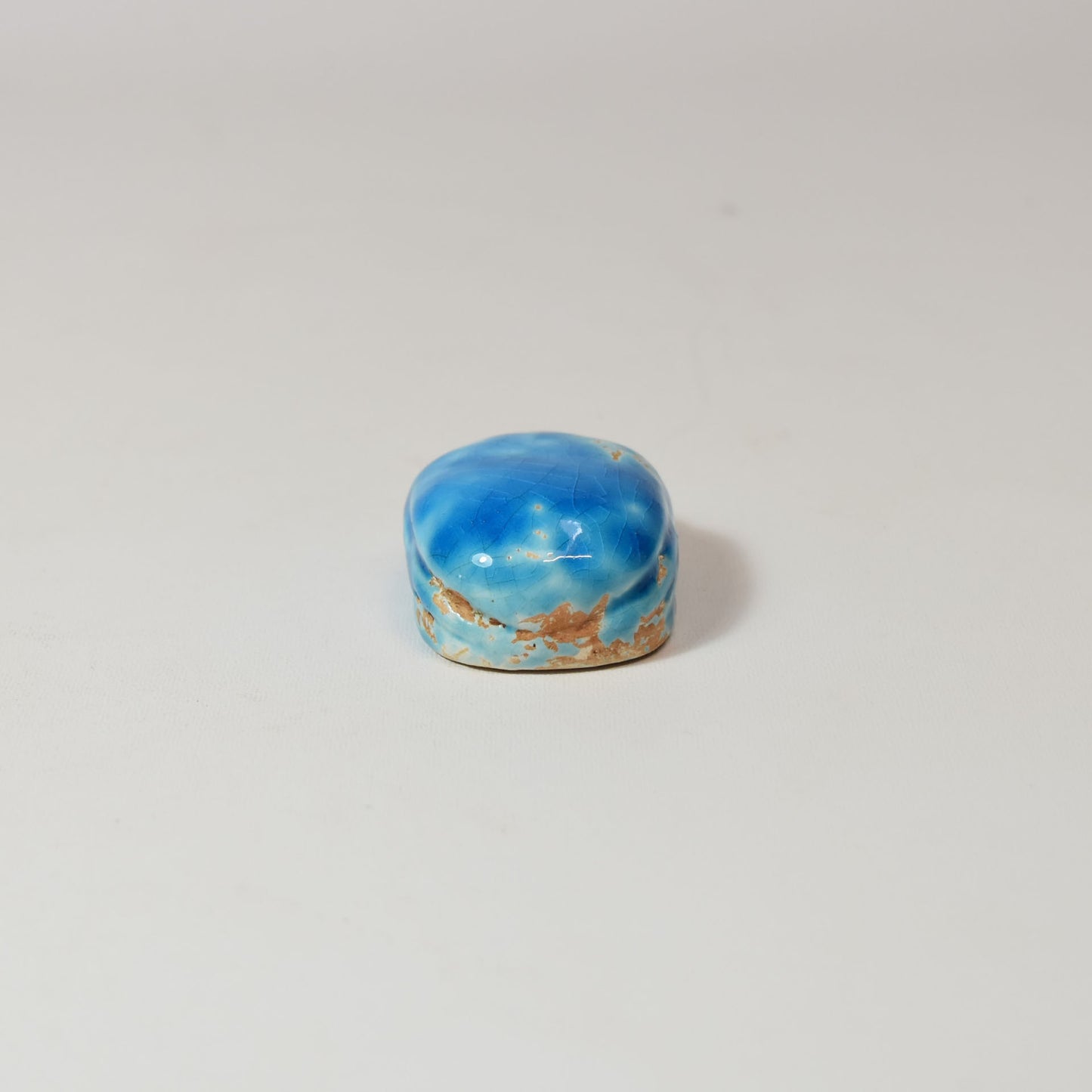 Petit scarabée