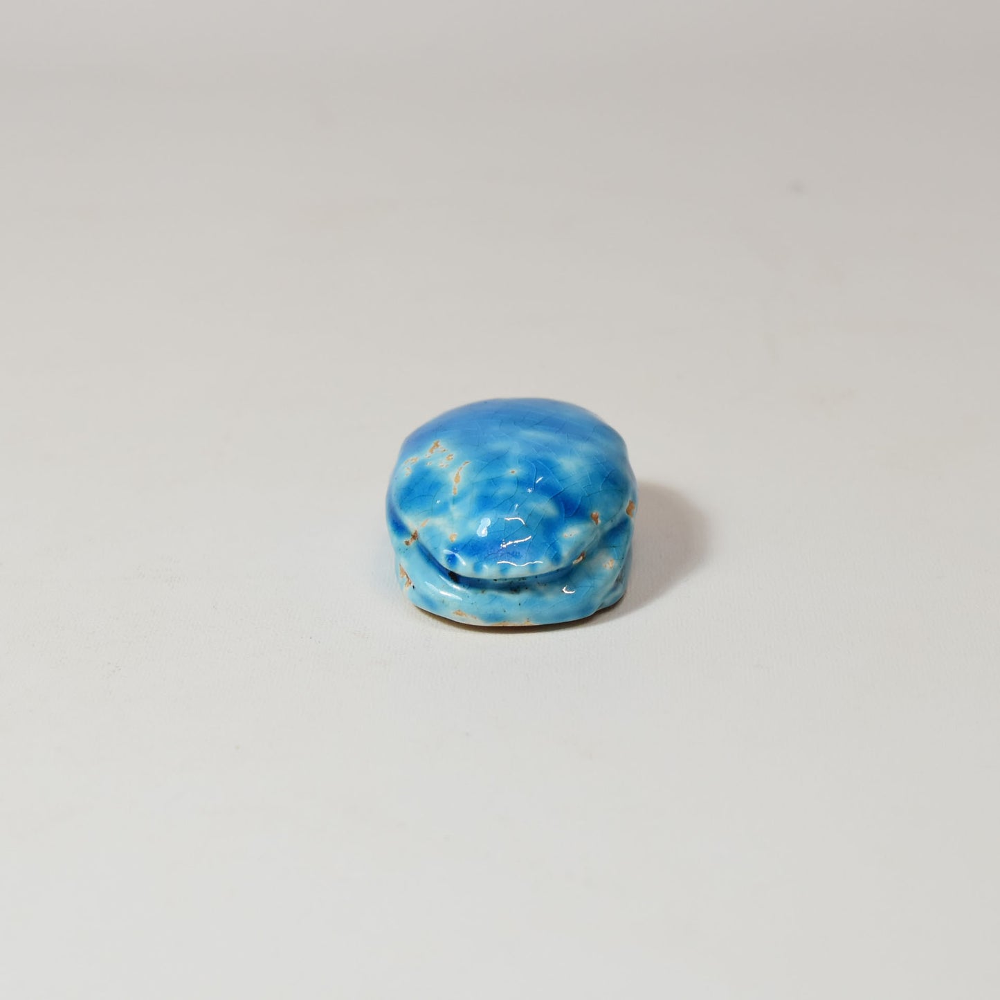 Petit scarabée