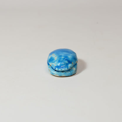 Petit scarabée