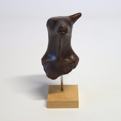 Petite tête de taureau