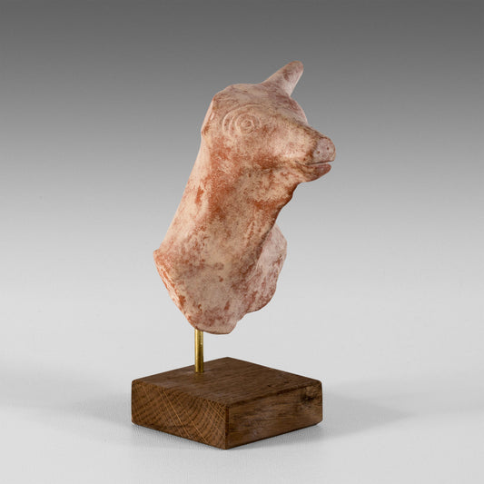 Petite tête de taureau