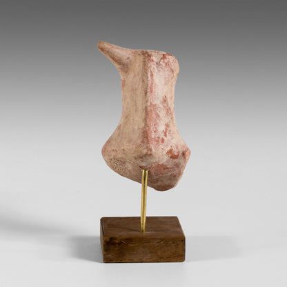 Petite tête de taureau