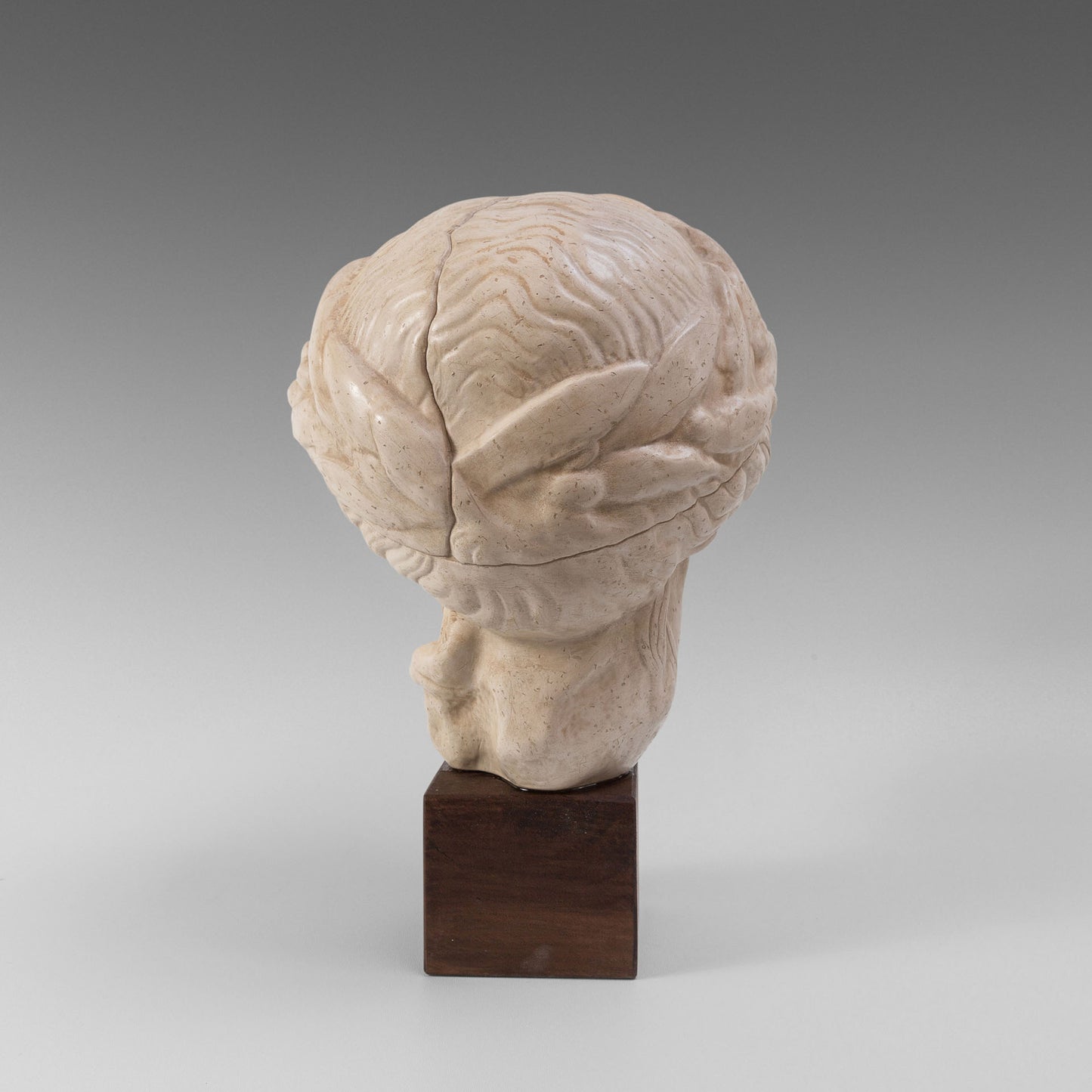 Tête d'Apollon lauré