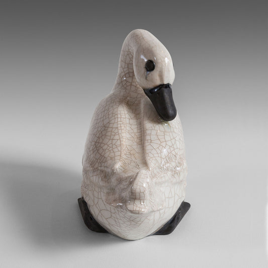 Canard